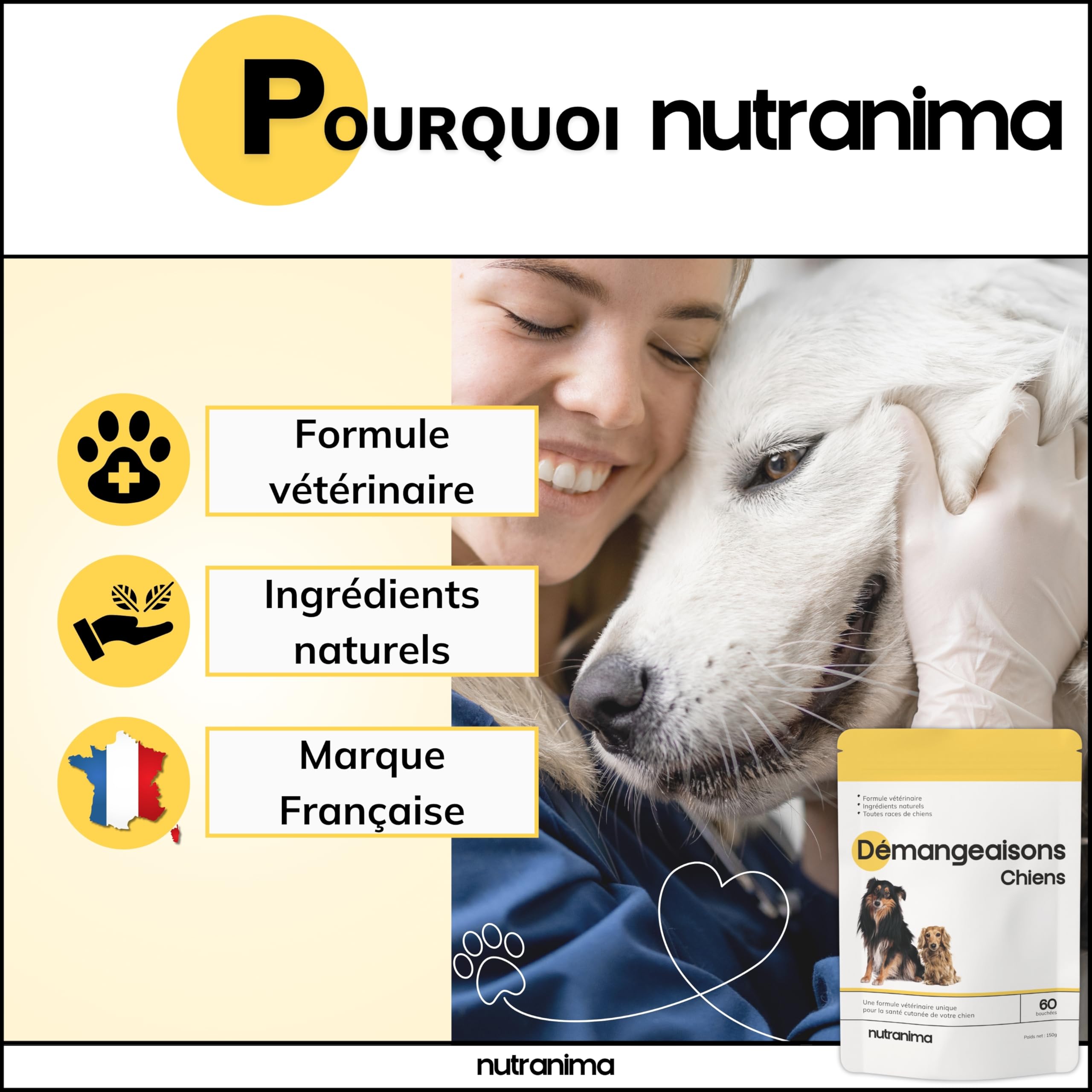 Démangeaisons Chien | KynoSil® Silicium & Collagène | Oméga-3, Probiotiques, Biotine & Zinc | Complément Peau & Pelage | 60 bouchées | Formule Vétérinaire Française