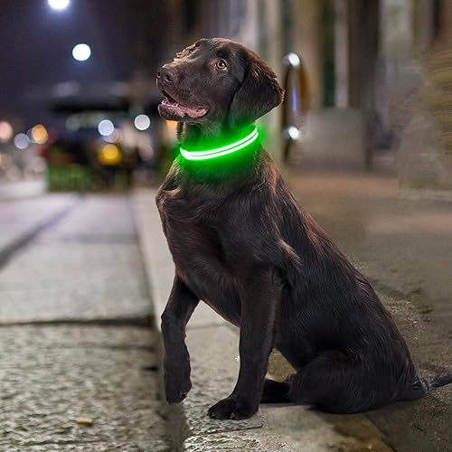 Miniatura 7 de Collares de perro con luces LED recargables, collares de perro que brillan en la oscuridad, para seguridad nocturna, collar de cachorro iluminado,