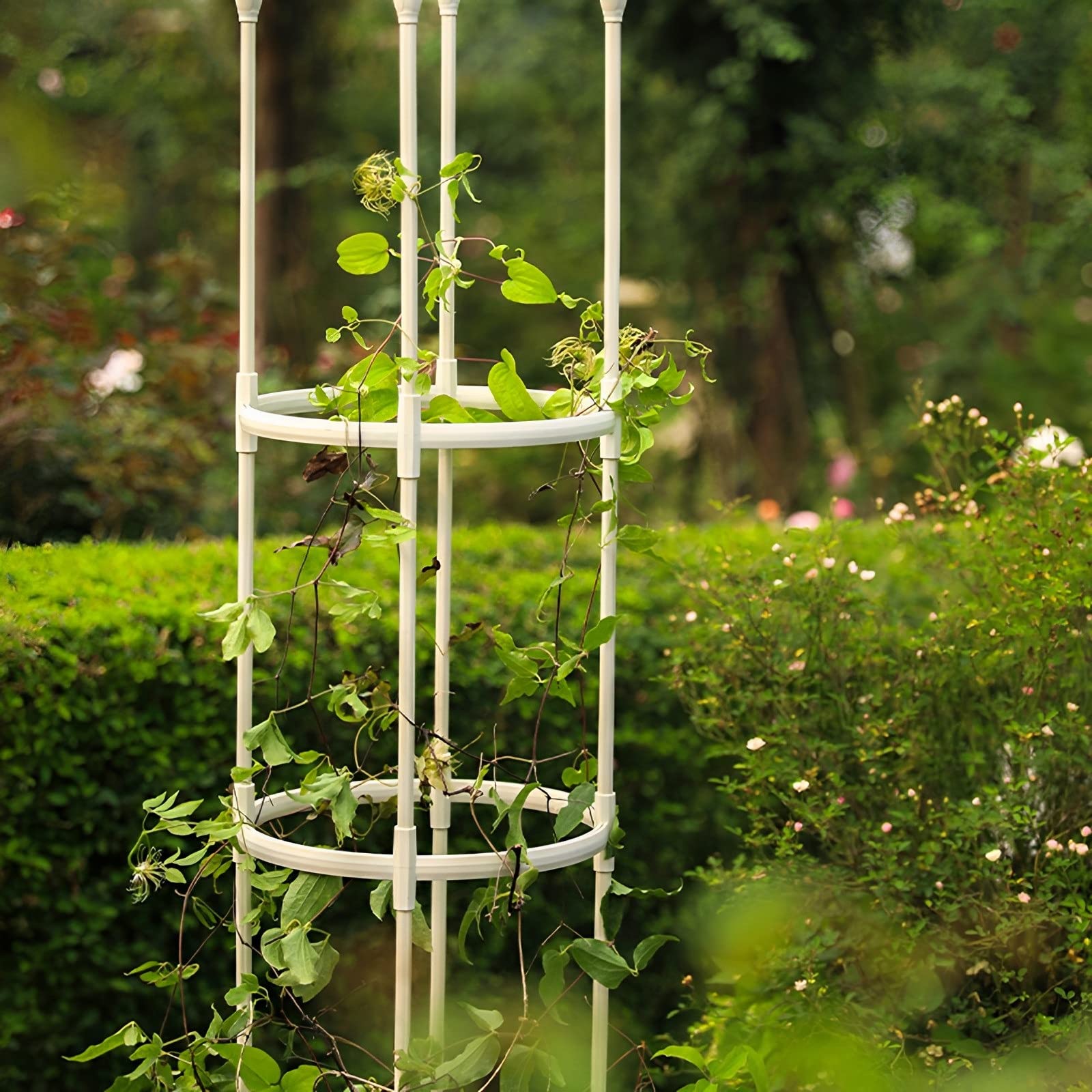 Rete A Traliccio, Rotolo Di Rete In Nylon Per Supporto Per Piante Da - Foto 6