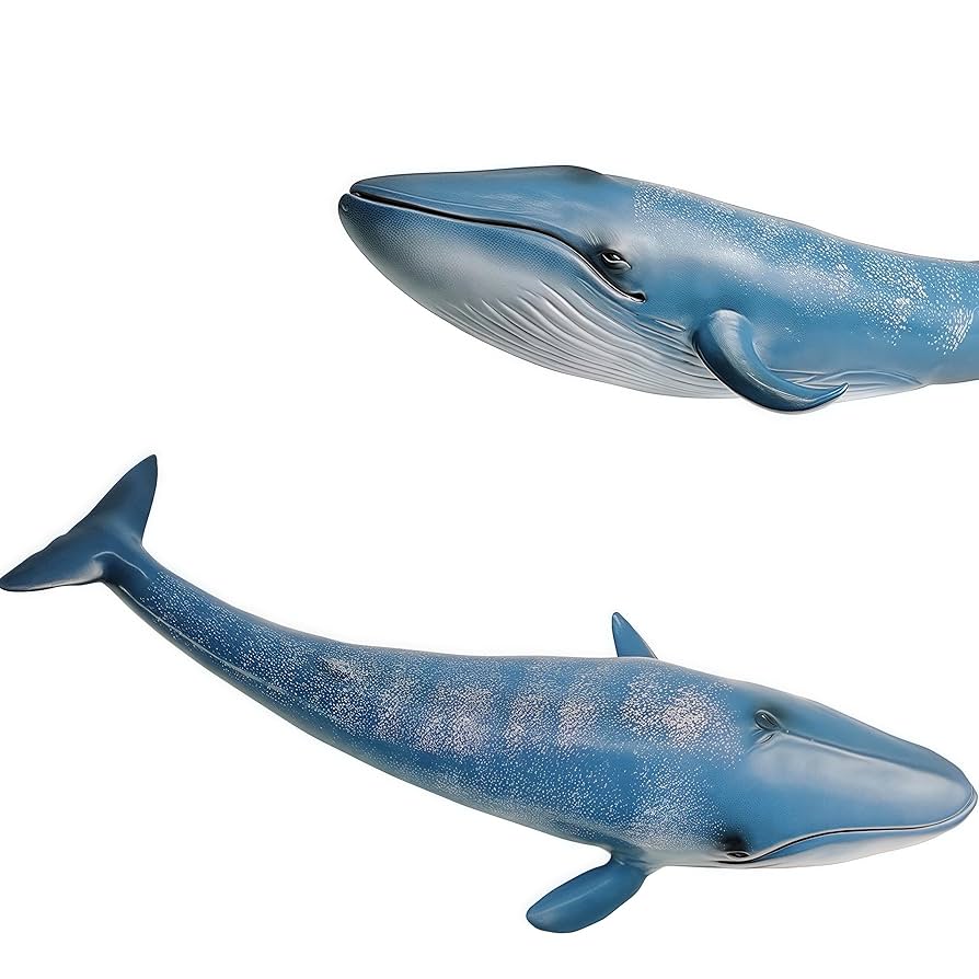 Amazon.com: Gemini&Genius Blue Whale Sea Animal Action