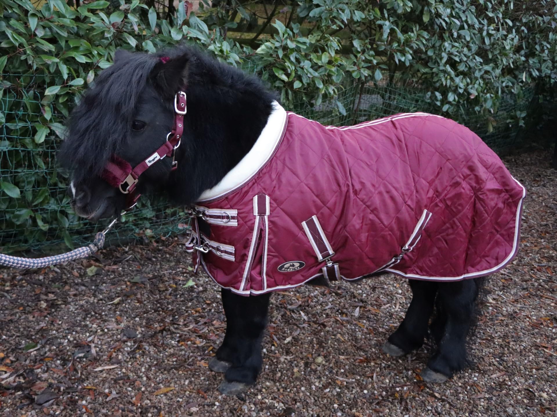 Ruggles 50g Stable Rug for Shetland Section A Donkey Miniature Horse | Smart Versatile Lightweight Rug Perfect for Warmer Days or as an Under Layer (Burgundy, 3' 9")