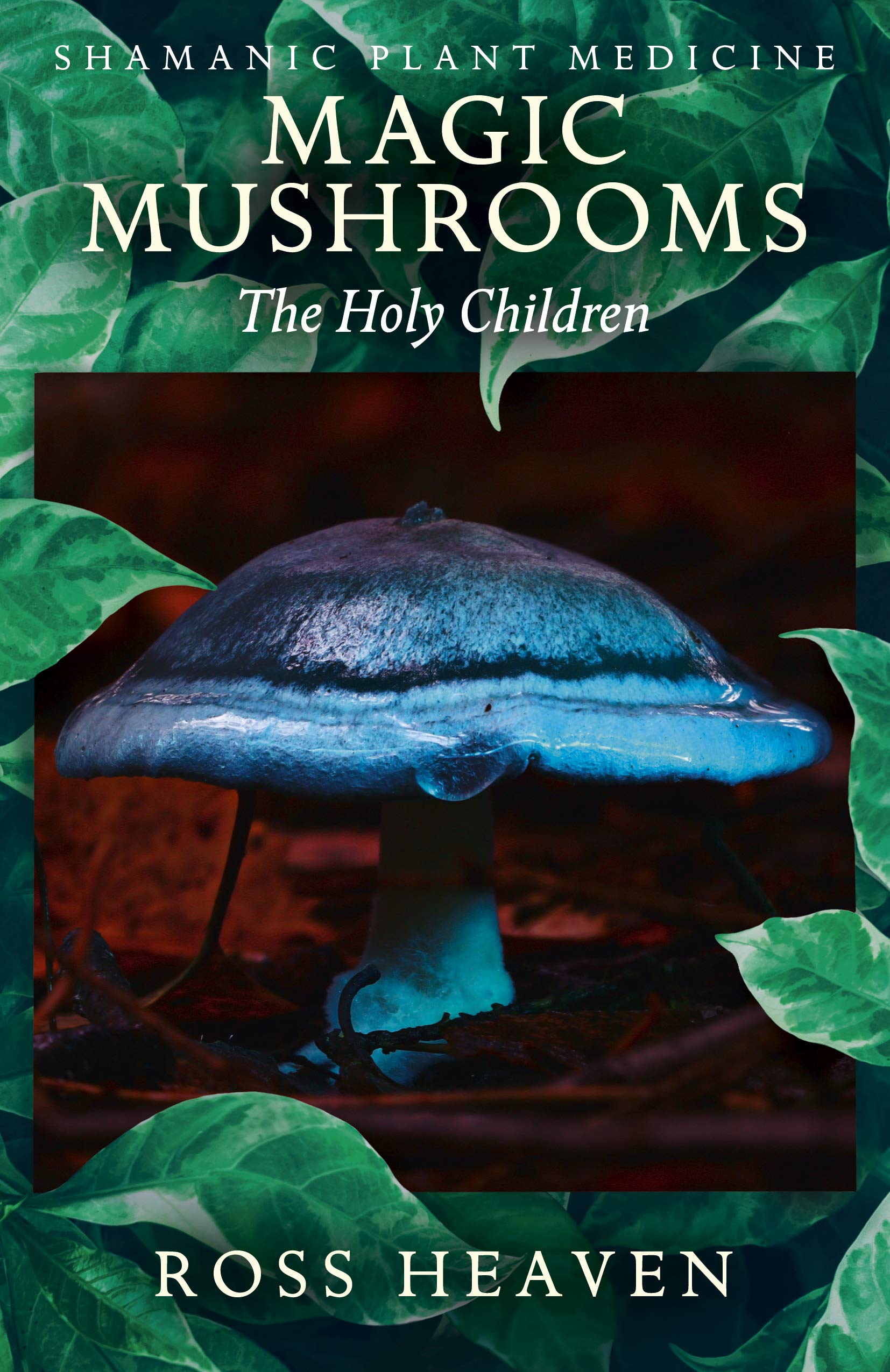 Shamanic Plant Medicine - Magic Mushrooms: The Holy  by Ross Heaven PAPERBACK