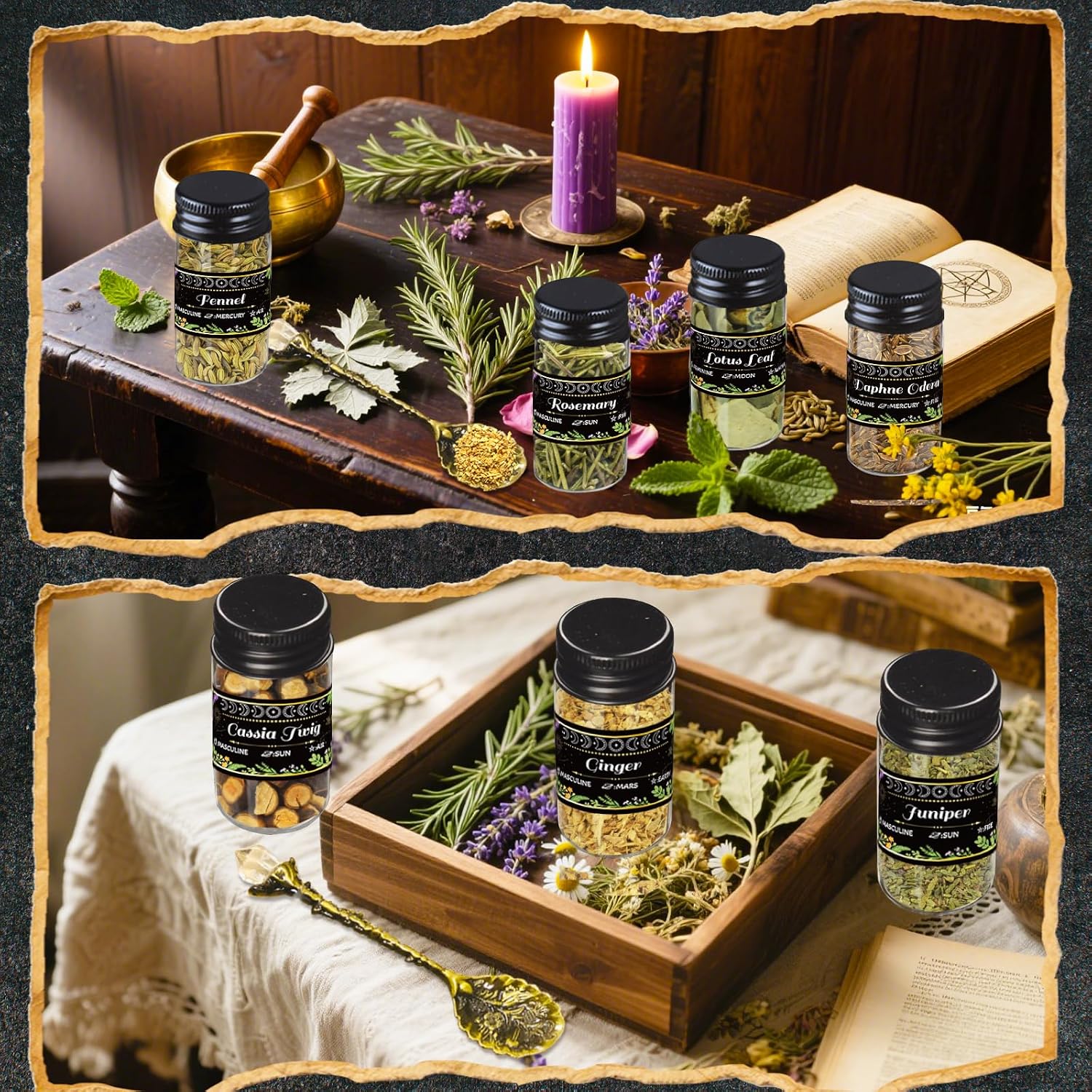 15 Jars Witchcraft Supplies Herbs, Dried Herbs Bottles Kit for Witch Beginner, Wiccan, Wicca Altar Supplies, Magic Spell, Candle and Soap Making, with Witchy Spoon