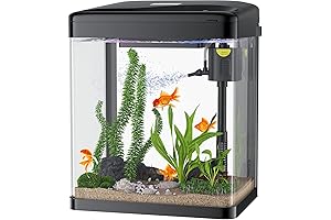 PONDON Betta Fish Tank: The Essential Fishkeeping Companion