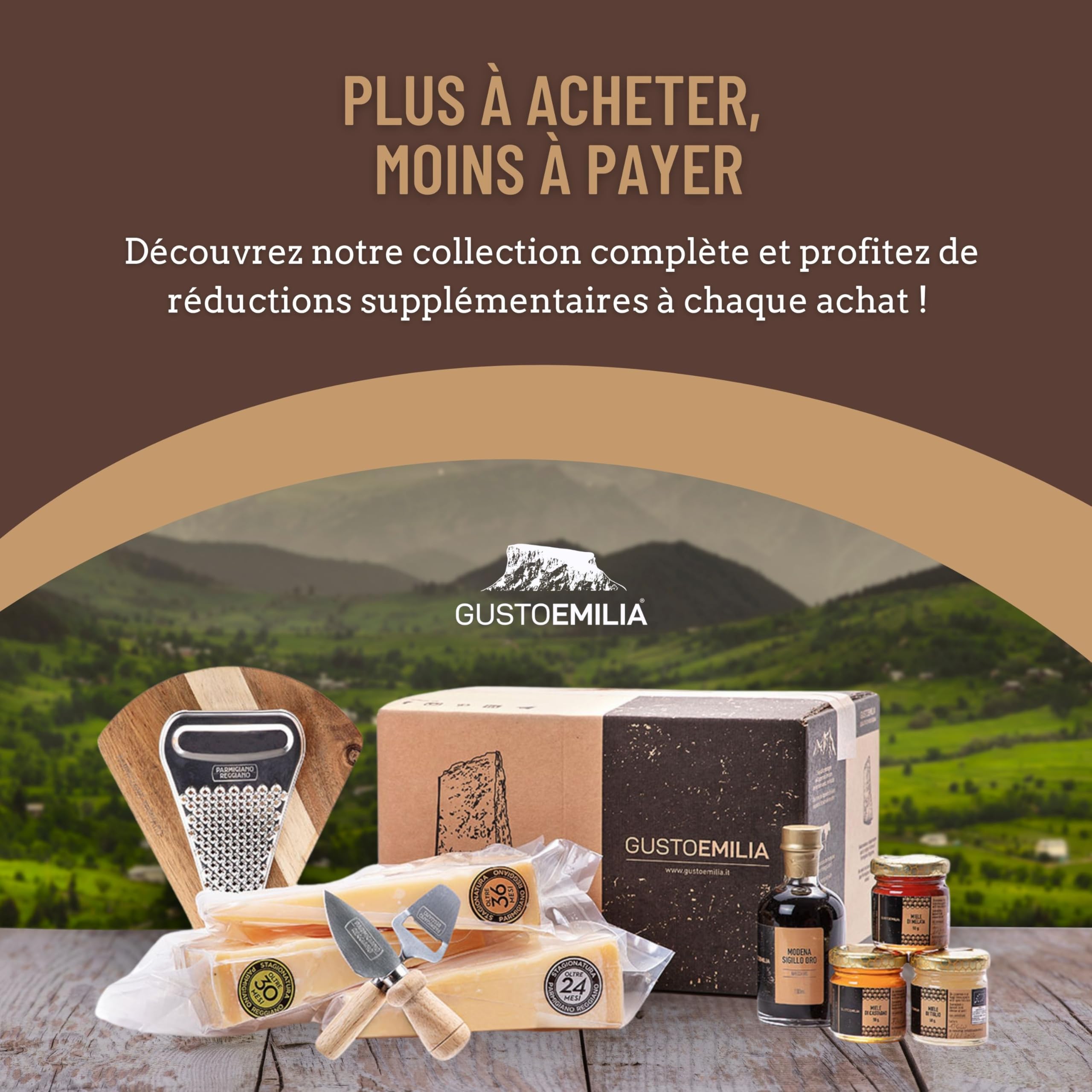 GUSTOEMILIA Montagne Parmigiano Reggiano Fromage 30 Mois Affiné - Idéal pour les Pâtes, le Pain, les Salades, les Collations et les Fruits - Fromage Parmesan Affiné Italien 1,1 lb (500g)