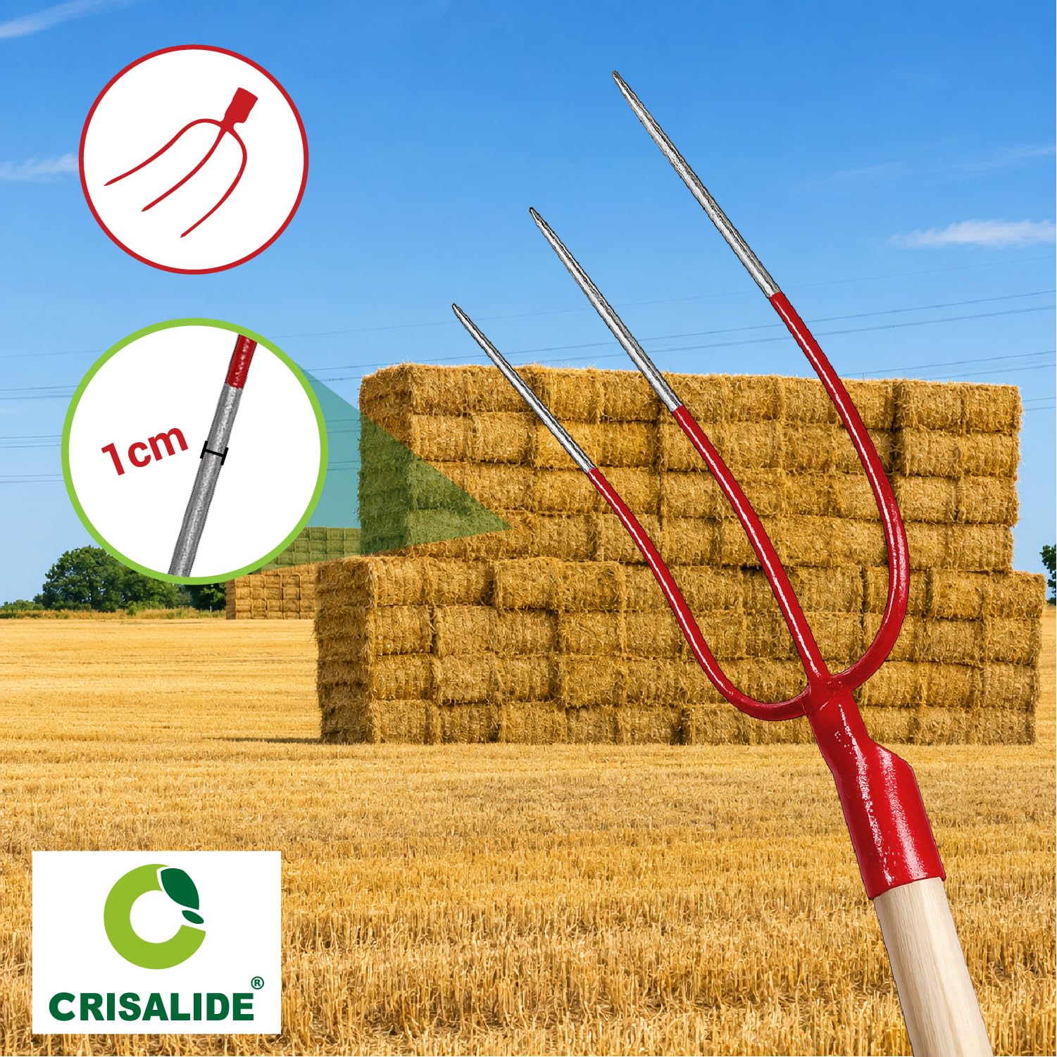 Crisalide® Forca per Fieno a 3 Denti Senza Manico – Forca in Acciaio Forgiato per Paglia, Fieno, Erbacce e Uso Agricolo Professionale