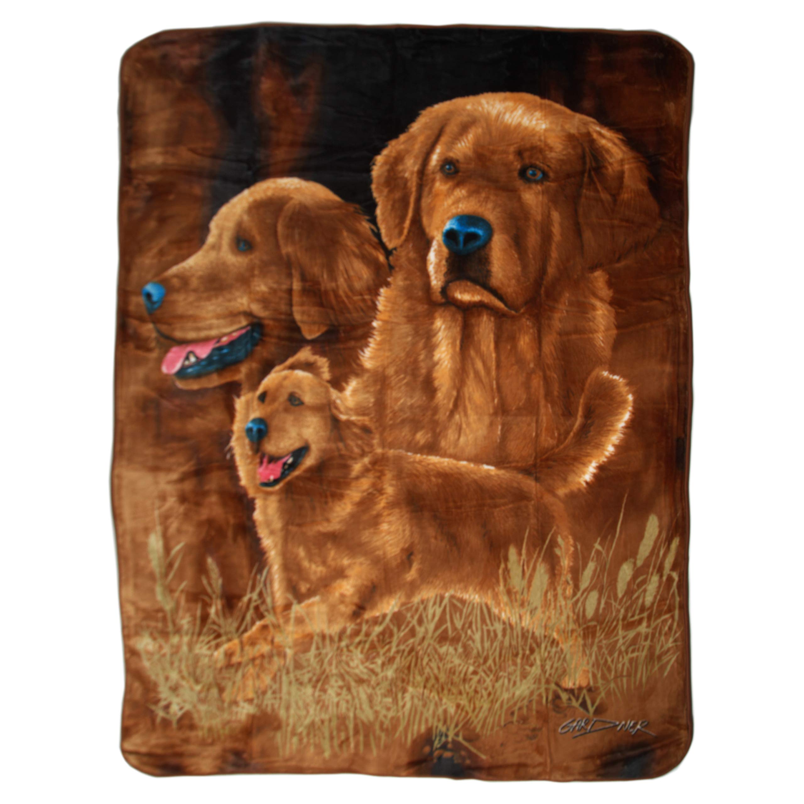 Royal plush Extra Heavy Queen Size Mink Blanket - Golden Retrievers (79