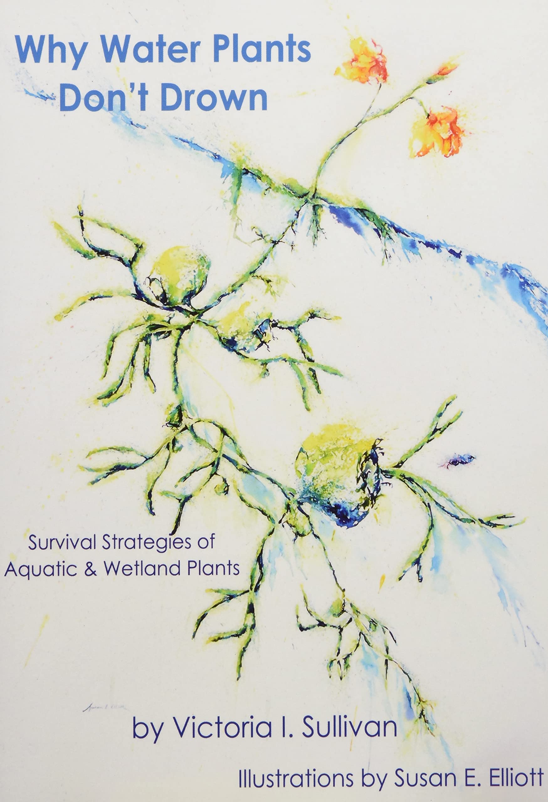 Why Water Plants Don't Drown: Survival Strategies of Aquatic and Wetland Plants