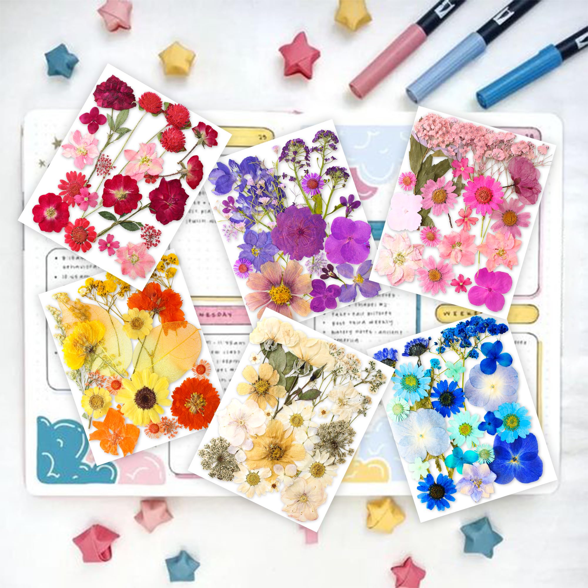 YoothBro 221PCS Real Nature Dried Pressed Flowers for Resin Mold Dry Pressing Floral with Butterfly Transparent Stickers Set for DIY Jewelry Making Nail Card Scrapbook Art Craft Eternity Summer - Image 2