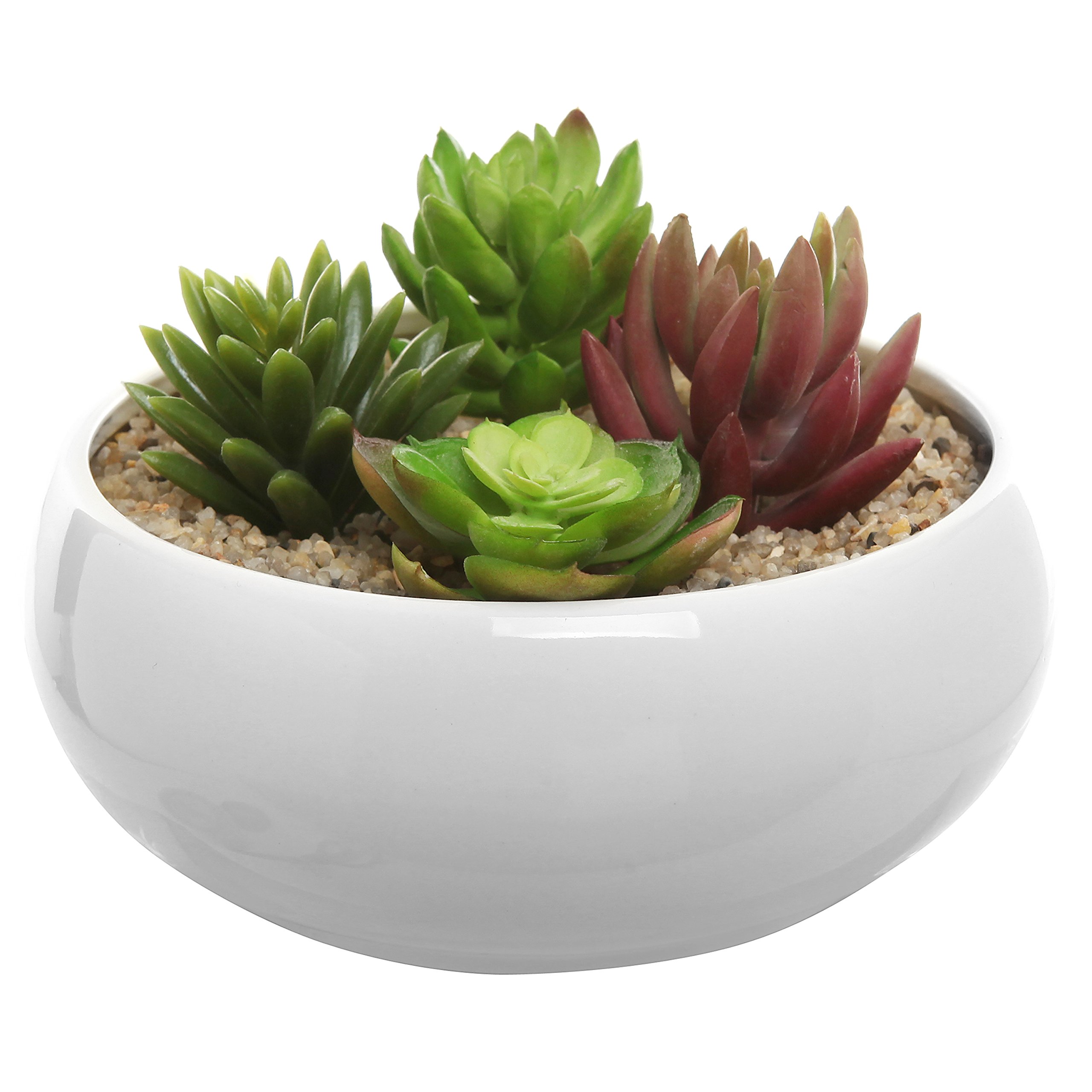 Photo 1 of **USED** *MyGift 8.75 Inch Round White Ceramic Planter - Indoor Gardening Planters for Flower, Cactus, Succulent Plants with Drainage Hole