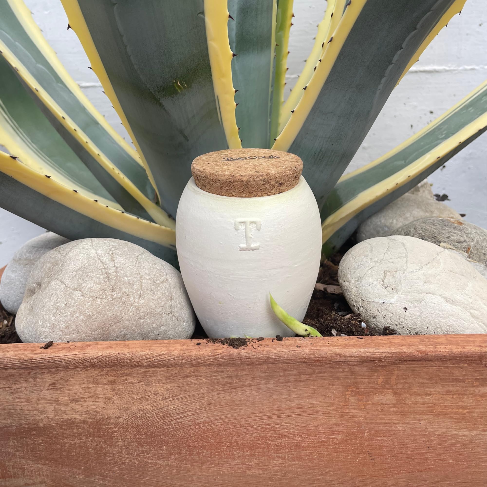 Olla in Terracotta Bianca per Irrigazione Automatica – Autonomia fino a 15 Giorni – A Lento Rilascio Per Piante Grasse a basso fabbisogno idrico da Interno ed Esterno – 250 ml (Bianco 4 Pz)