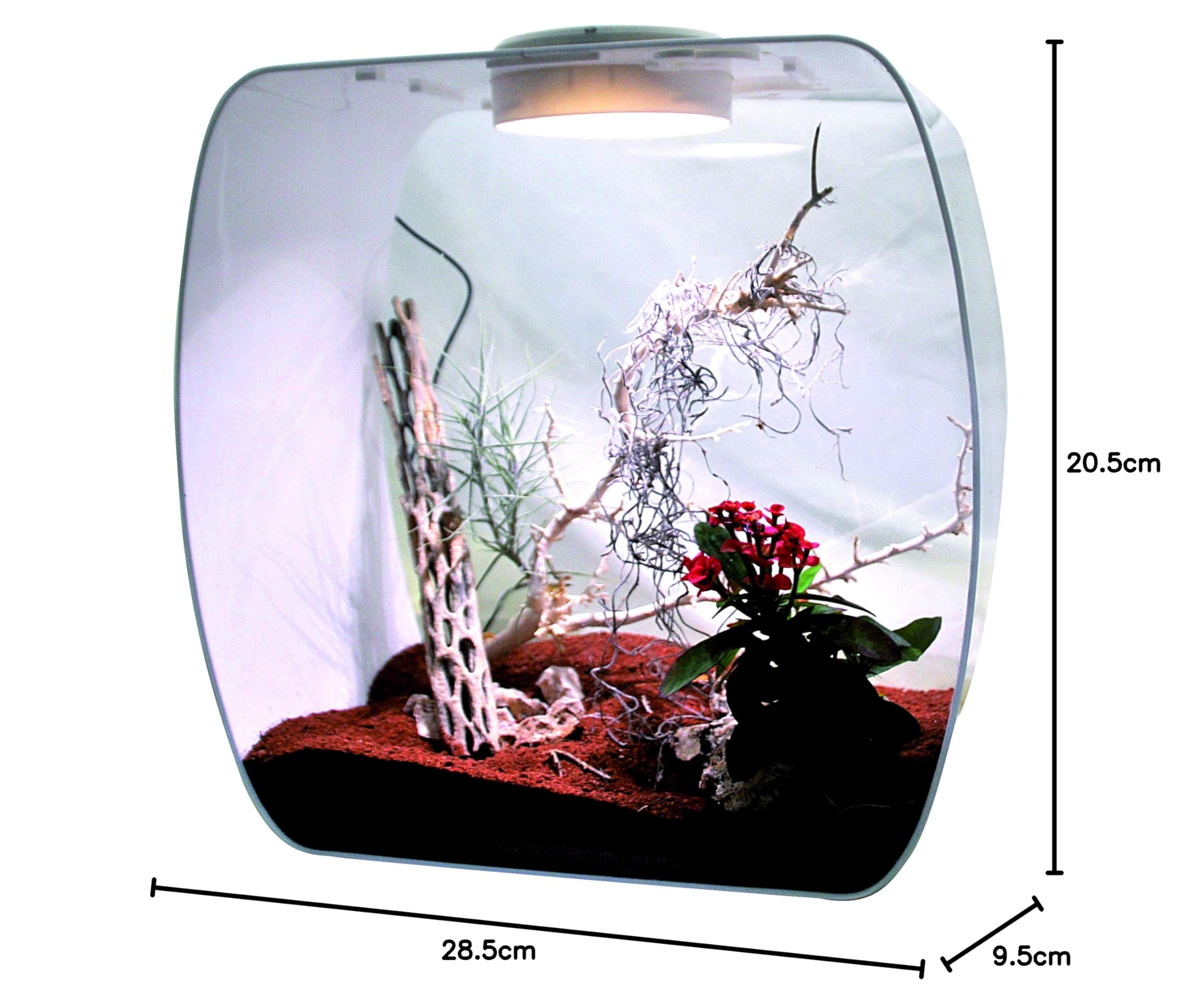 Life Experience Kit déco pour Petits terrariums Nano