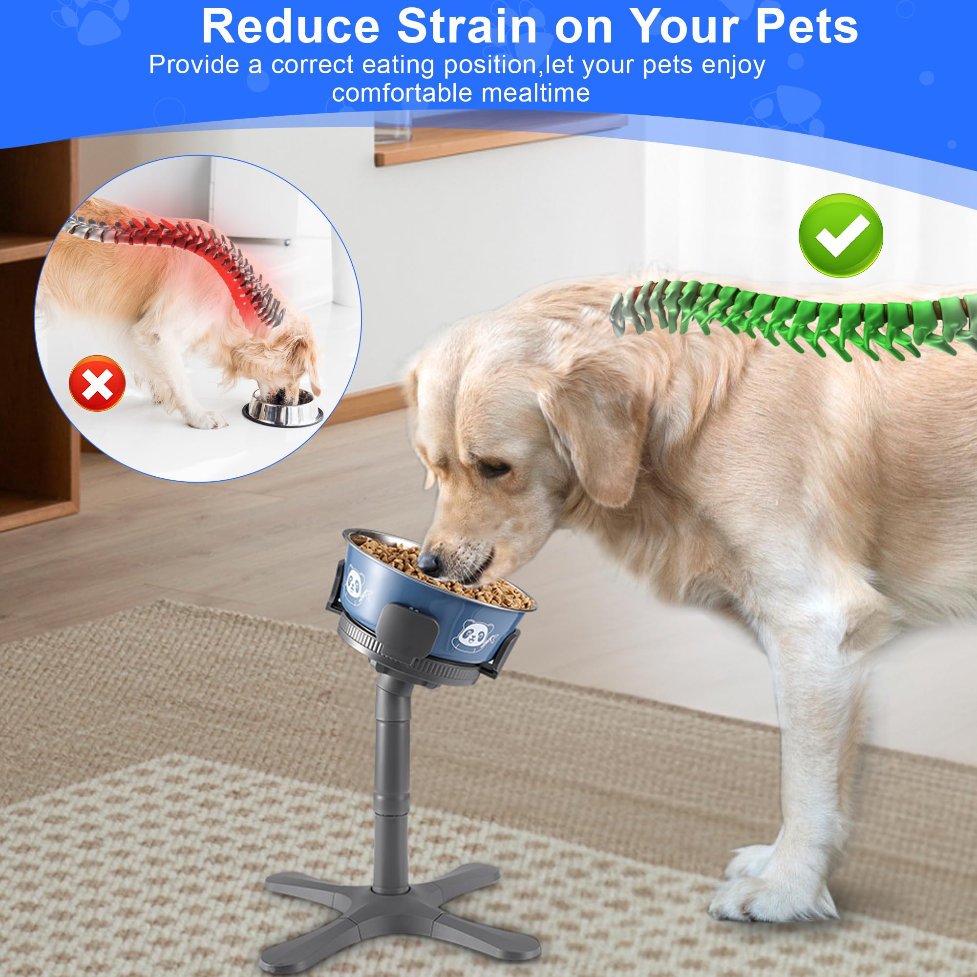 Ciotole per cani, supporto rialzato regolabile con 3 altezze e design inclinato, supporto rialzato compatibile con razze medie e grandi (con ciotola-grigio)