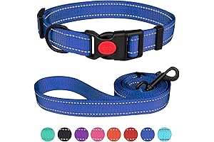 Reflective Medium Dog Collar and Leash Set for Safety and Style