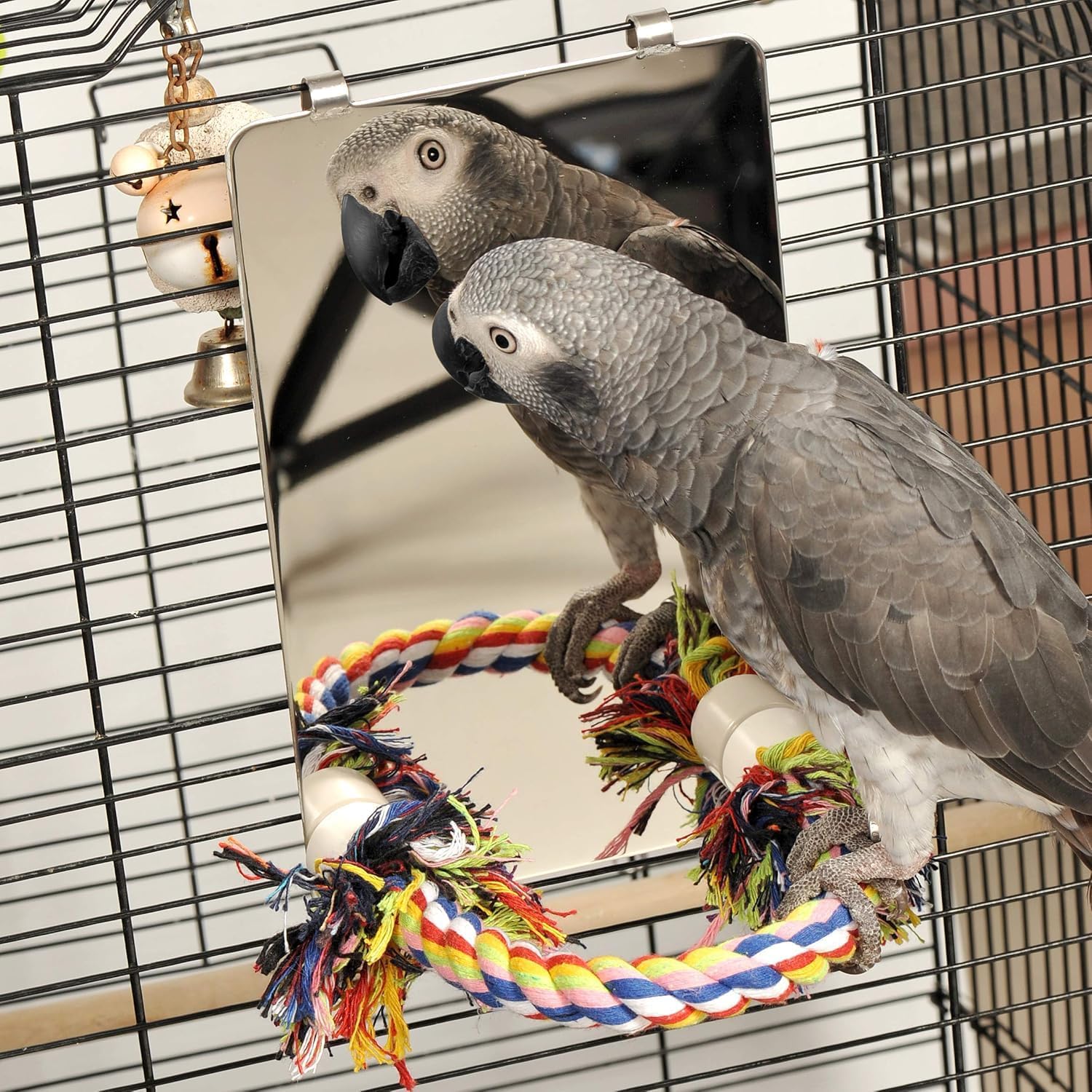 Colorday 9" Bird Mirror for cage with Rope Perch, Bird Swing, Parrot Cage Toy for Parakeet Budgie African Grey Conure Cockatiel Lovebird Finch Canarie, Large
