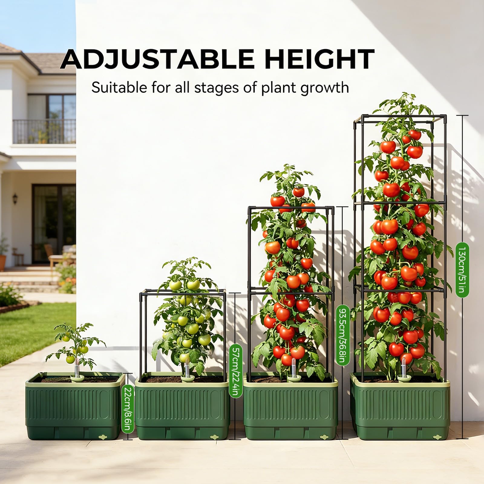 MQUPIN Jardinière Surélevée avec Treillis,Arrosage Automatique Jardiniere Tomate,Tuteur Tomate,pour Plantes grimpantes,Plantes grimpantes,Auto-arrosage,Support réglable pour vign (1)