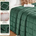 Couverture pondérale pour adultes, 15 Pounds Double face en peluche souple Couverture pour canapé-lit de canapé, lourds Blankets épais avec perles en céramique Great pour dormir, 48 x 72 pouces, vert foncé des deux côtés