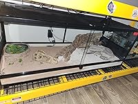 Review Image by Brady Bostrom Brady Bostrom