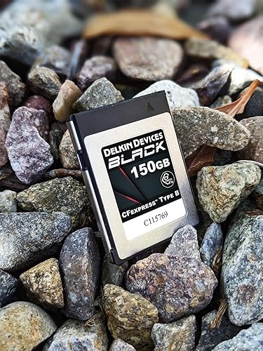 Delkin Devices BLACK CFexpress Type B Memory Card - Thumbnail 2