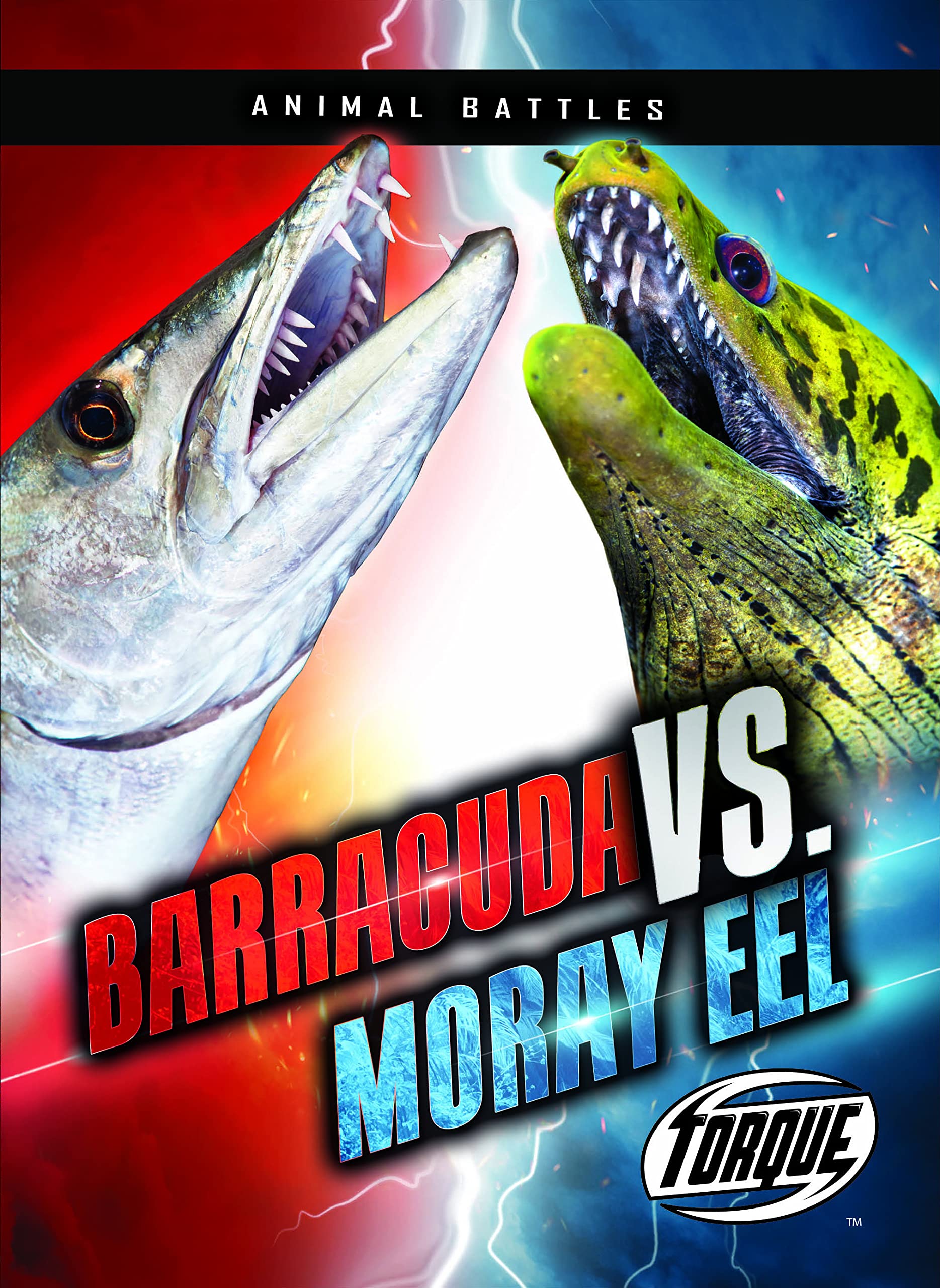 Barracuda Vs. Moray Eel