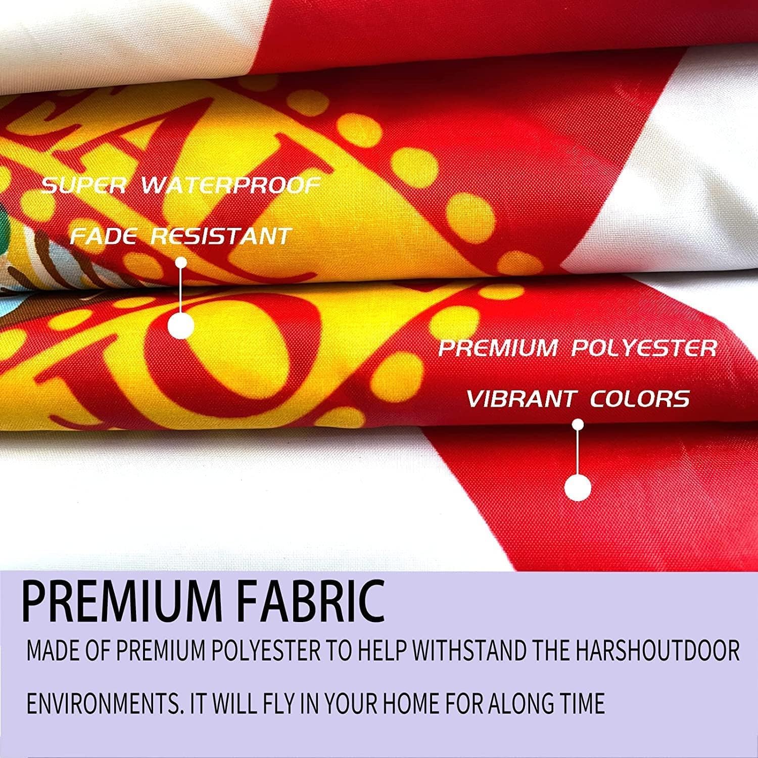 Florida State Flag 2x3 Double Sided Outdoor Heavy Duty 3 Ply with Durable Canvas Header and 2 Brass Grommets Vivid Colors FL Flags - Image 5