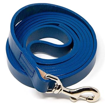 Logical Leather 6 Foot Dog Leash - Best for Training - Water Resistant Heavy Full Grain Leather Lead - Blue