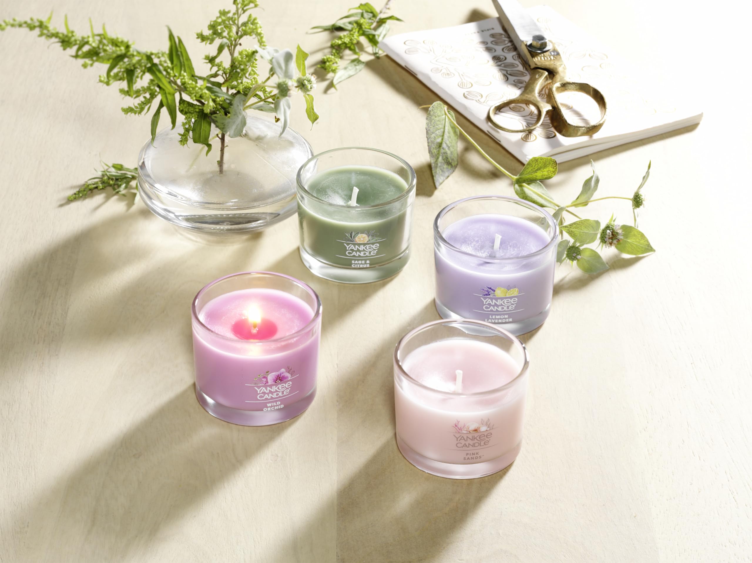 Amazon.com: Yankee Candle Minis Jar, Zen Oasis Fragrance, Premium