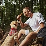 Wildfang® Olive Bâtons à mâcher en bois pour chiens, L – Jouets de Chew Tough pour les Chewers Agressifs, Jouets pour Chew Puppy pour les dents, Formation pour les Muscles de Chewing, Bâton de bois d'olive pour les chiens 25 kg (paquet de 1)