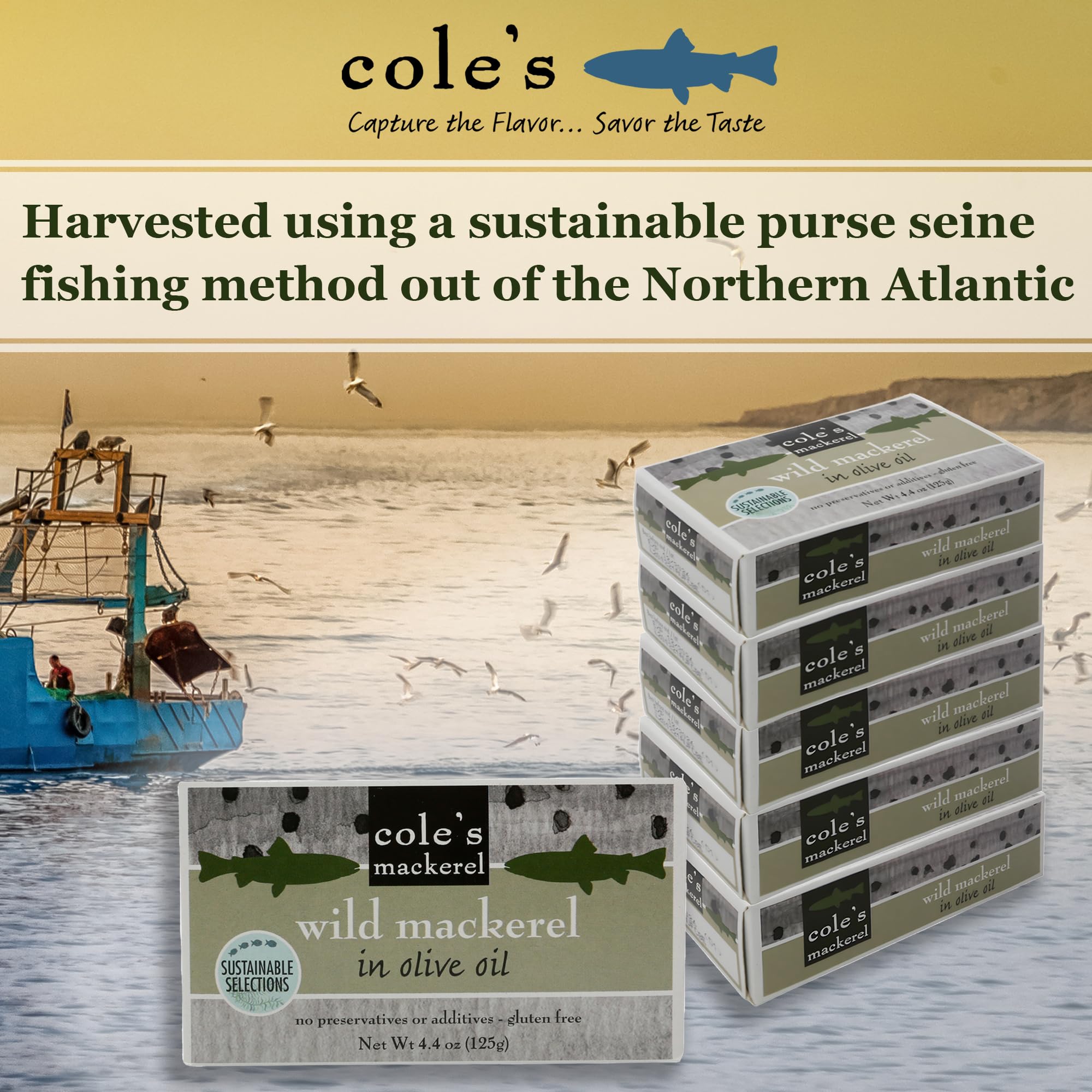 Cole's Pack of 5 Wild Mackerel in Olive Oil - Canned & Jarred Seafood, Skinless, Boneless, Small Atlantic Mackerel Fish, Preservative & Gluten Free