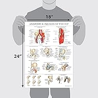 Vista 3 de Palace Learning 2 Pack - Anatomy and Injuries of The Knee & Hip Poster Set - Anatomical Chart Set - Laminated 18" x 24