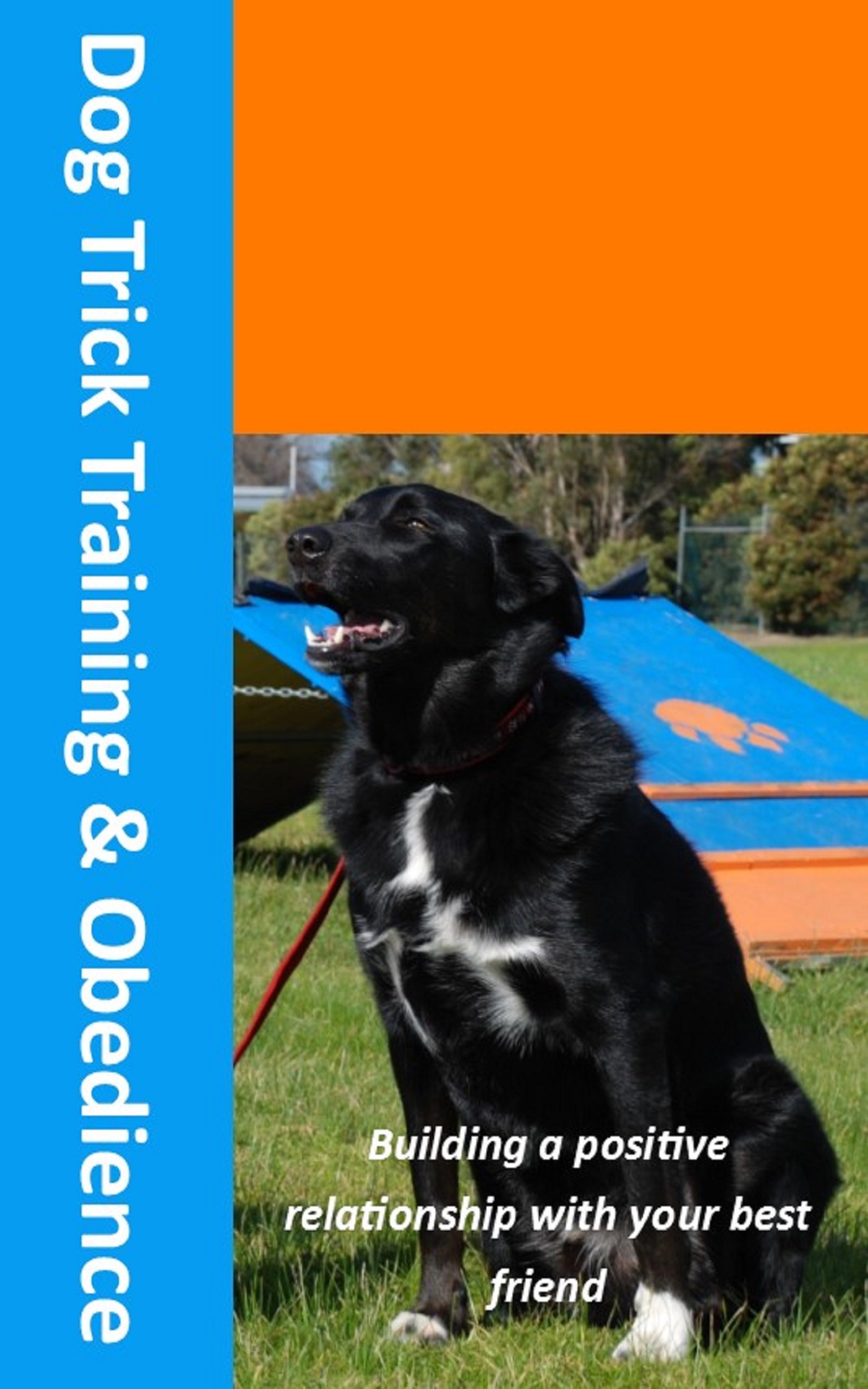 Dog Obedience & Trick Training: from My Puppy Club