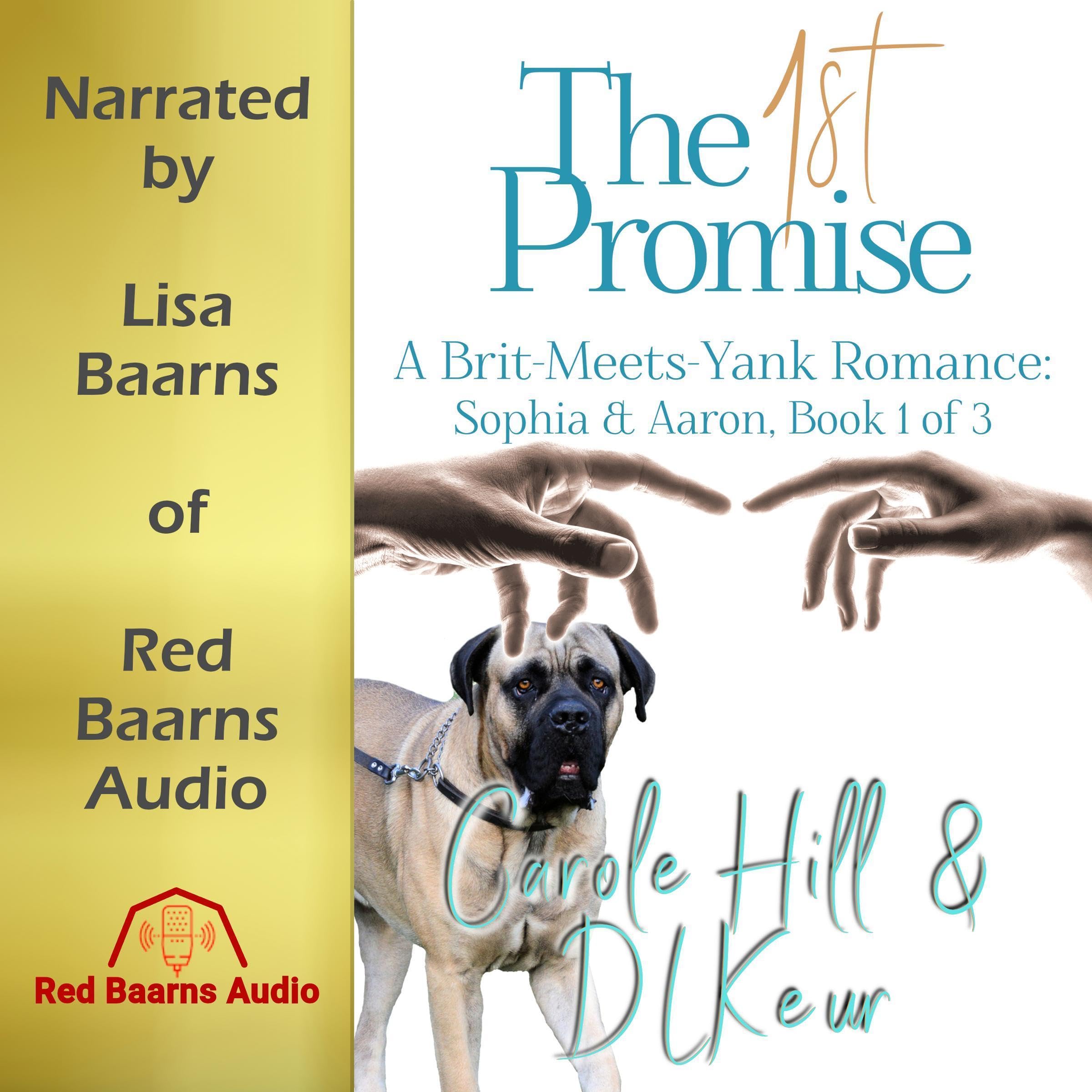 The 1st Promise: Sophia & Aaron