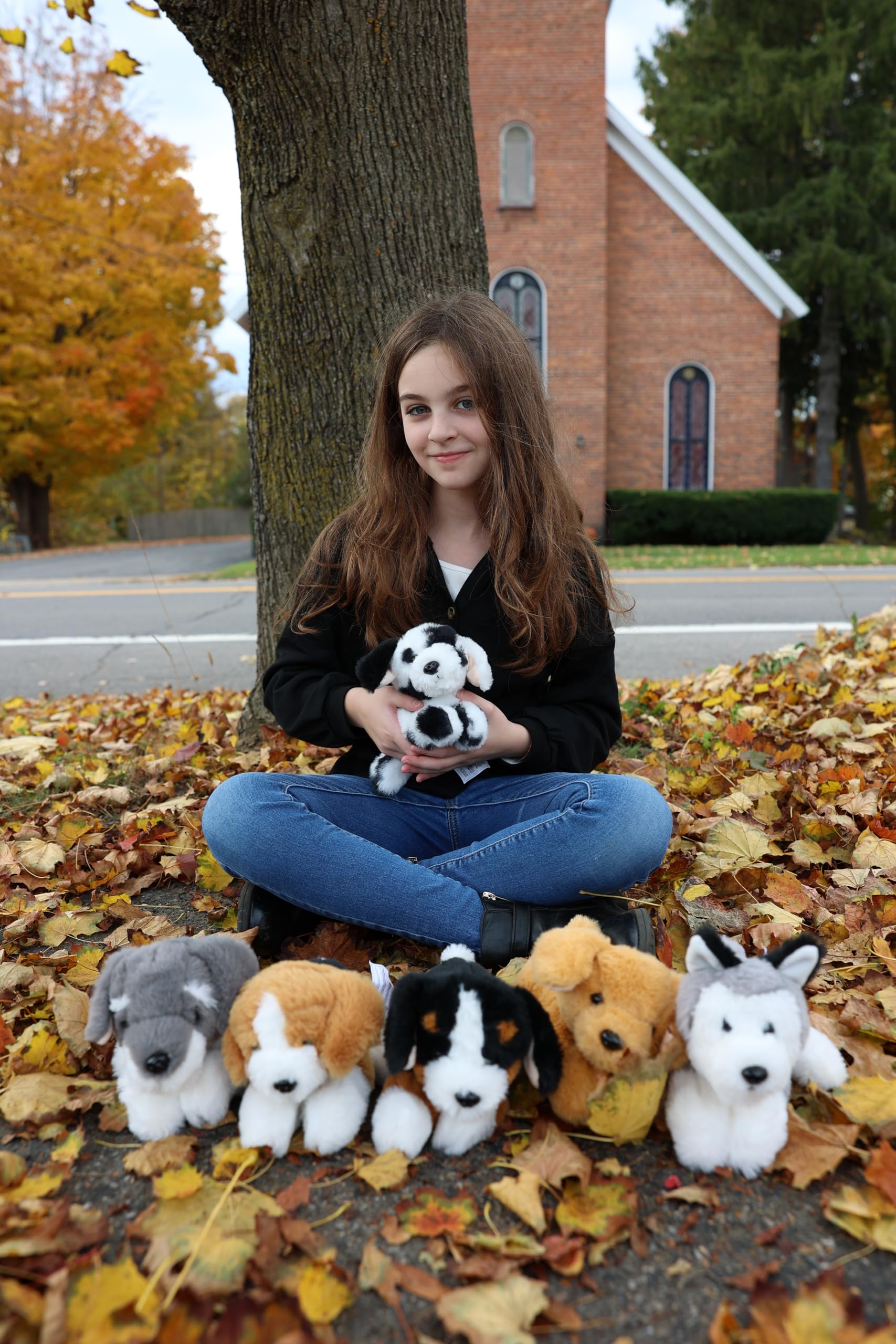 MorisMos 6pcs Perro Peluche Gigante, 27cm Kawaii Perro Juguete de Peluche Suave Animales Regalo para Niños Novia Navidad Cumpleaños Deco