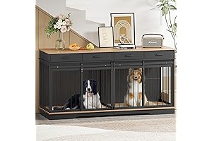 Spacious Double Dog Kennel: A Haven for Two Canine Companions