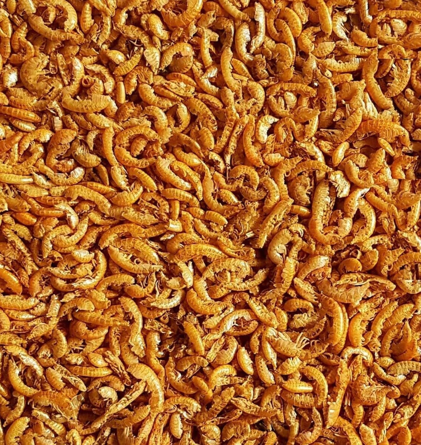 Natural Dried Small Shrimps 500g Premium Quality Complete Food For all Tropical, Pond Fish Reptiles etc SMSD