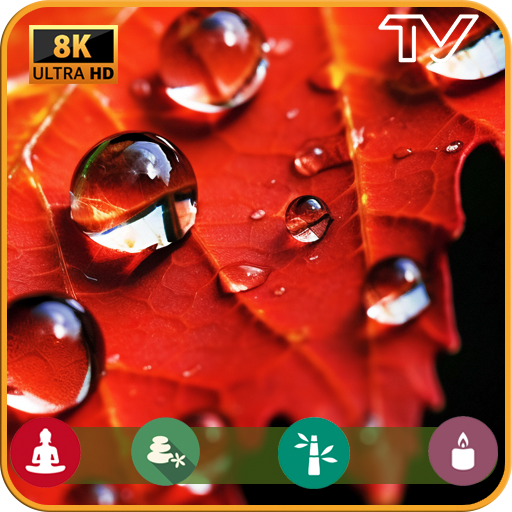 Wiegenlied der Natur: Beruhigende Regengeräusche für Schlaf und Entspannung