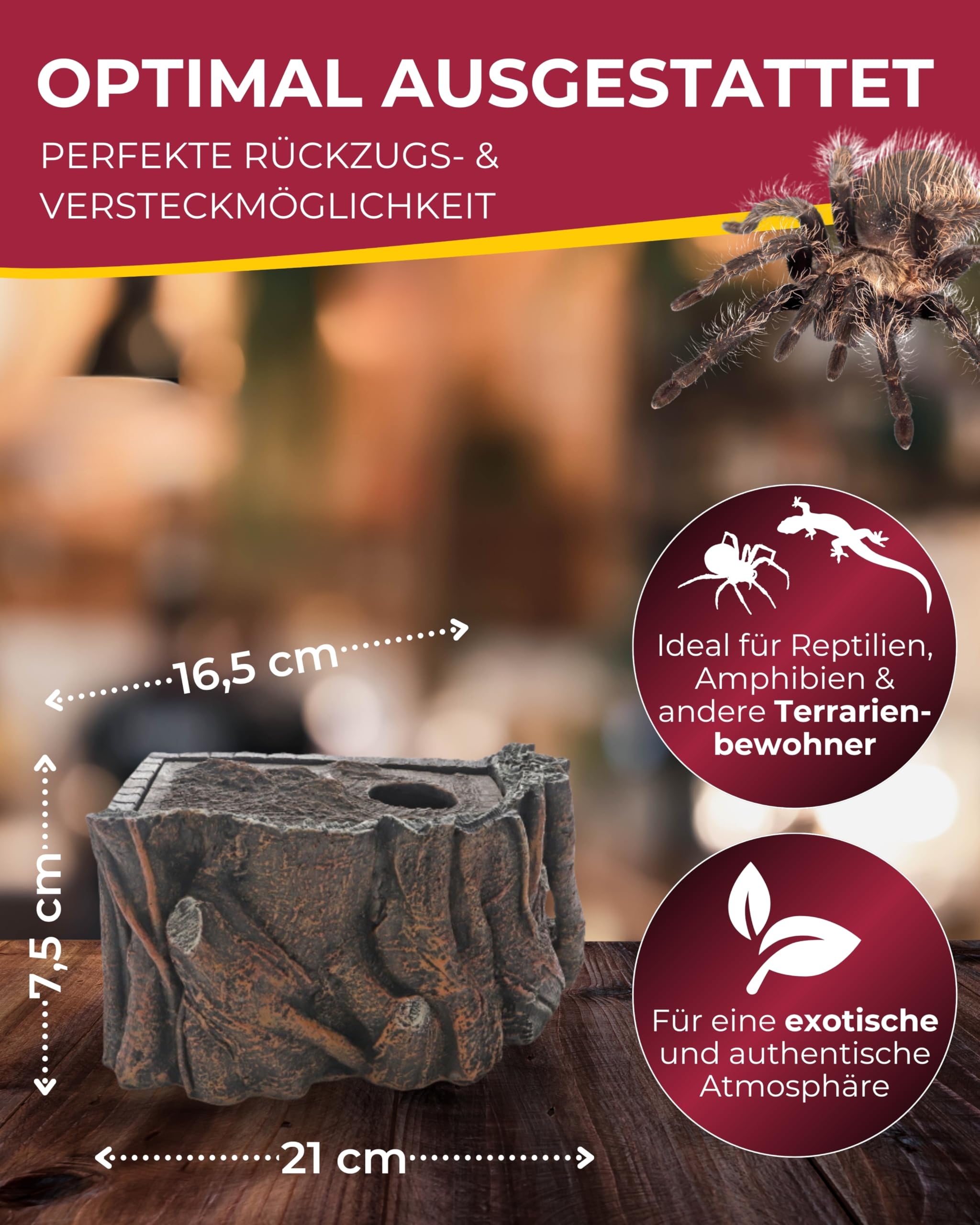 Hobby Terraristik Liana Corner L I 21 x 16,5 x 7,5 cm I naturnahe Versteckmöglichkeit für Reptilien und Amphibien I Rückzugsort für Terrarientiere I dekorative Versteckhöhle für Terrarien