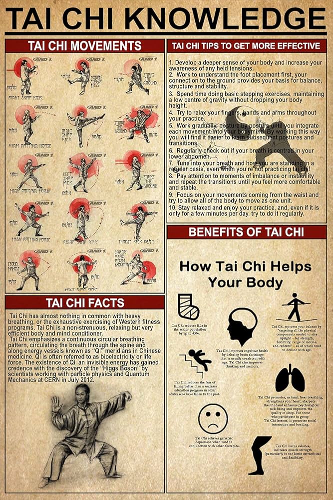 Amazon.com: Sarah Unframed Poster Tai Chi Knowledge Size 11 17 16 24 24 36  inch-SR (Multi-Color, Large 24x36): Posters & Prints
