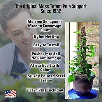 moss stick　sw58 71cWc8ME+rL._AC_UF894,