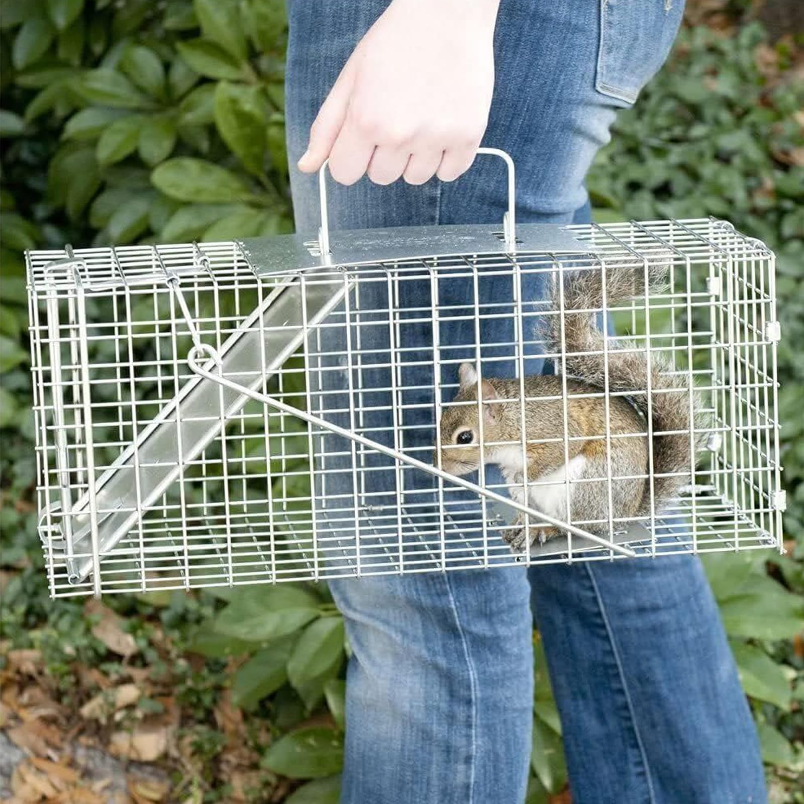 Rat Traps with One-Door, Secure Handle, Foldable Rat and Squirrel Cage Trap, Humane Live Multi-Catch Rat Trap, Indoors Outdoors Reusable Portable Mouse Trap for Rabbit, Squirrel, Possum, Skunk, Kitten