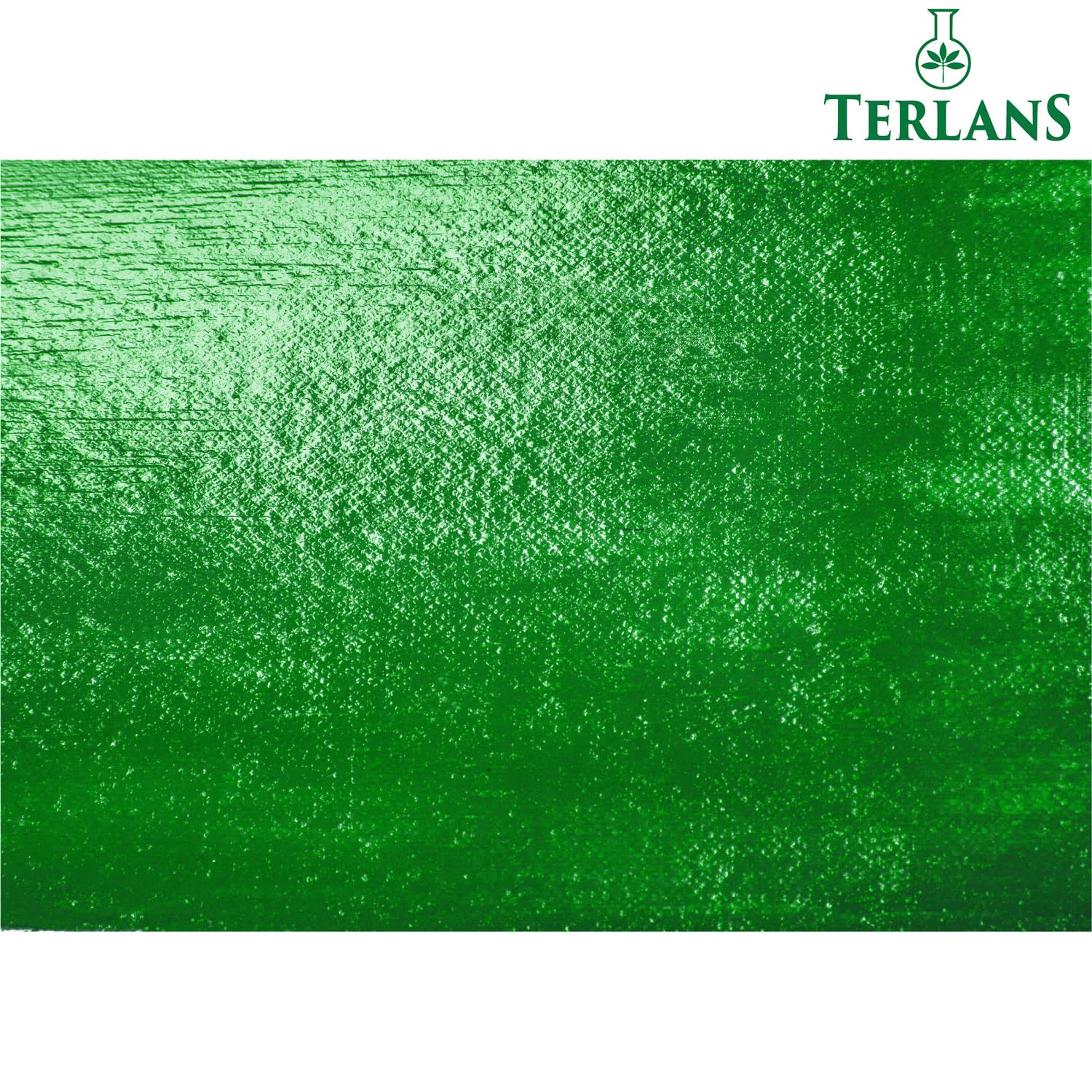 Terlans Su Bazlı Parlak Vernik | 100 ml | Akrilik ve Yağlı Boya Koruyucu