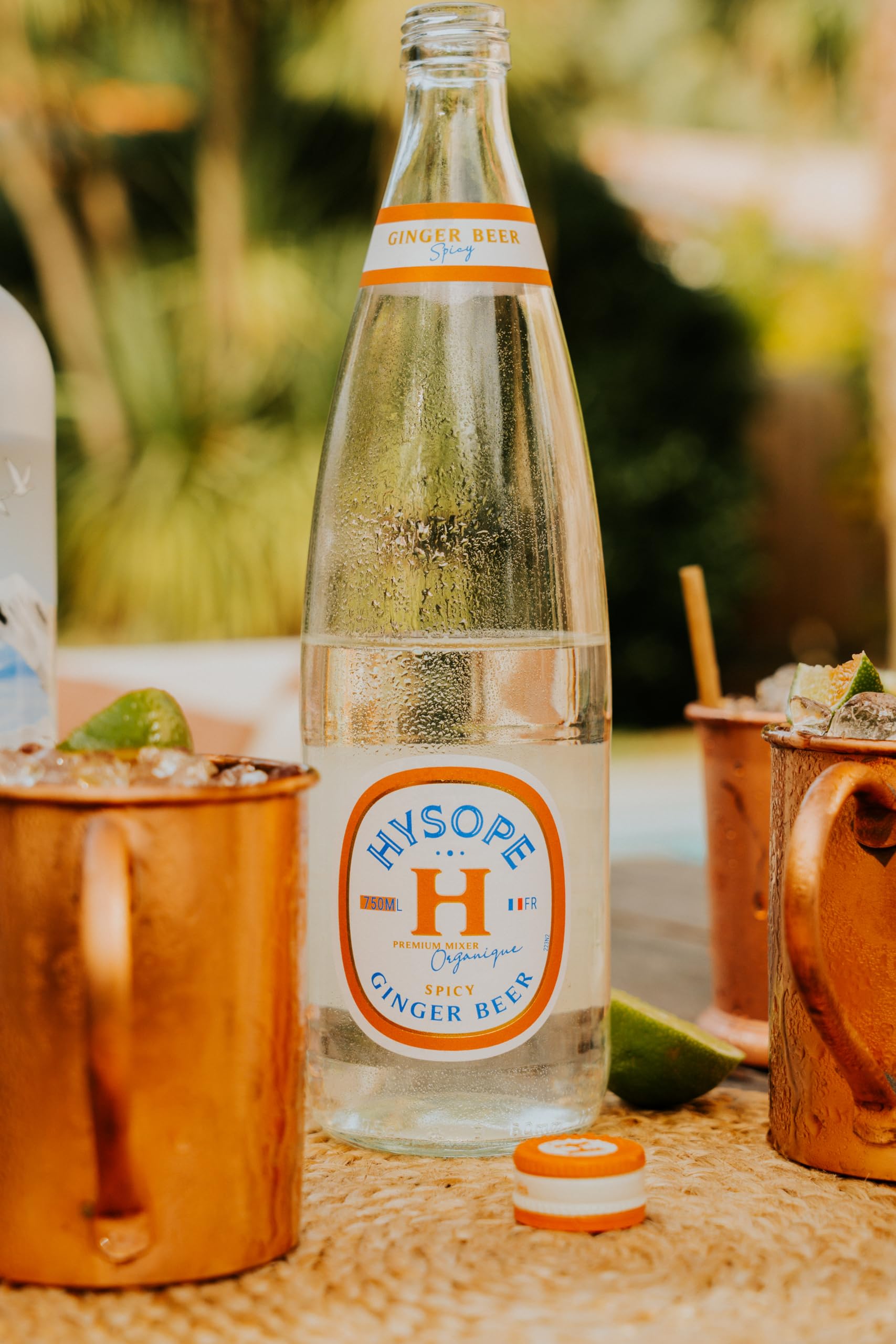 HYSOPE Ginger Beer Spicy – Origine France – Premium Mixer Bio – Idéal en cocktail - Notes de gingembre corsé & pointe de piment - 6 x 75cl