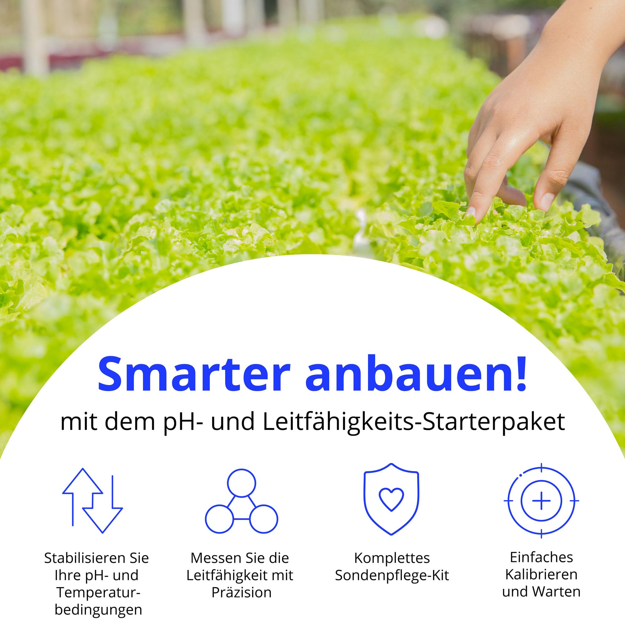 Bluelab PENSTP pH- und Leitfähigkeits-Starterpaket - Präzisions-Nährlösungsmanagement-Kit mit Temperaturmessung, wasserfeste Pens und Sondenpflege-Kit