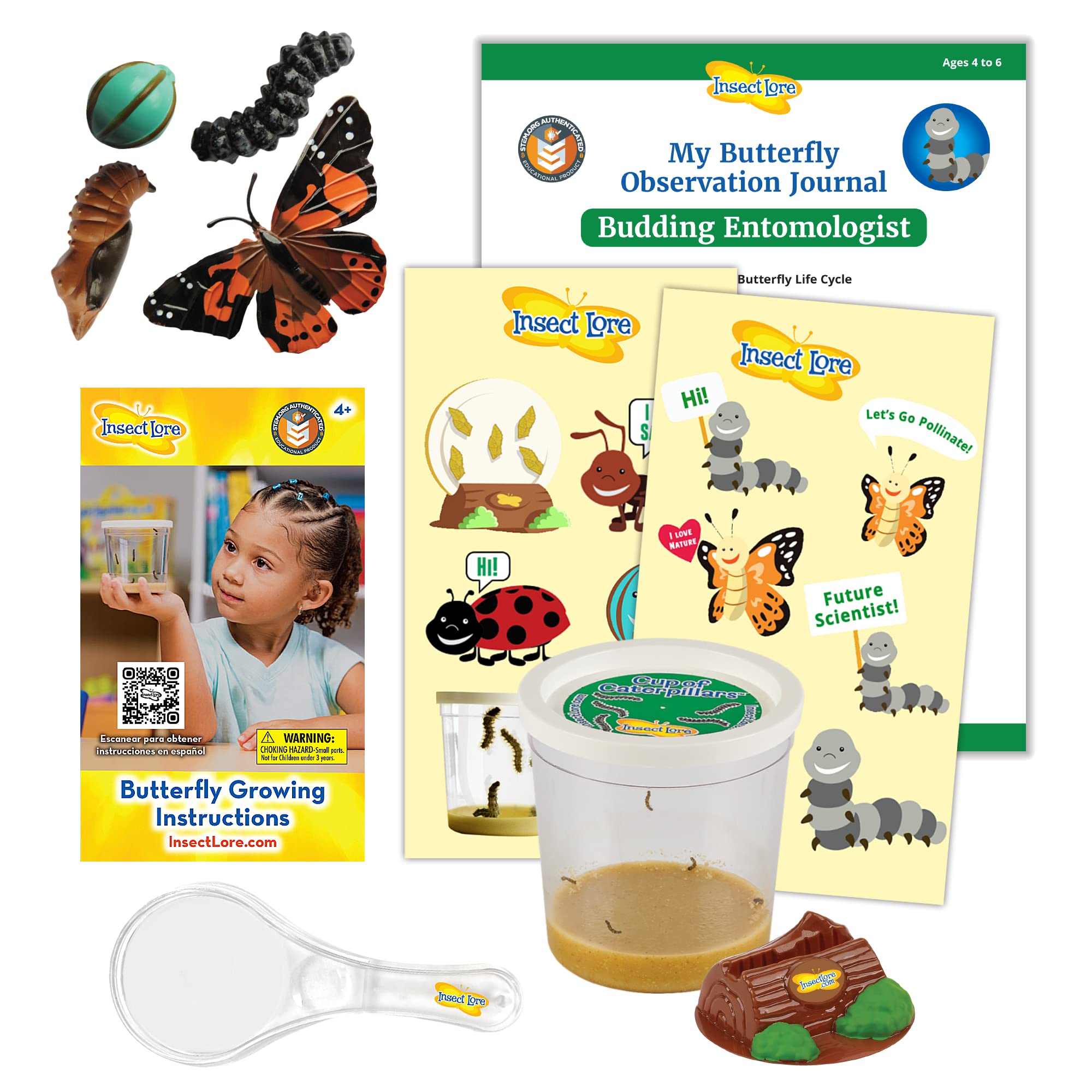 Buy Insect Lore Live Cup of Caterpillars with Dual Lens Magnifier