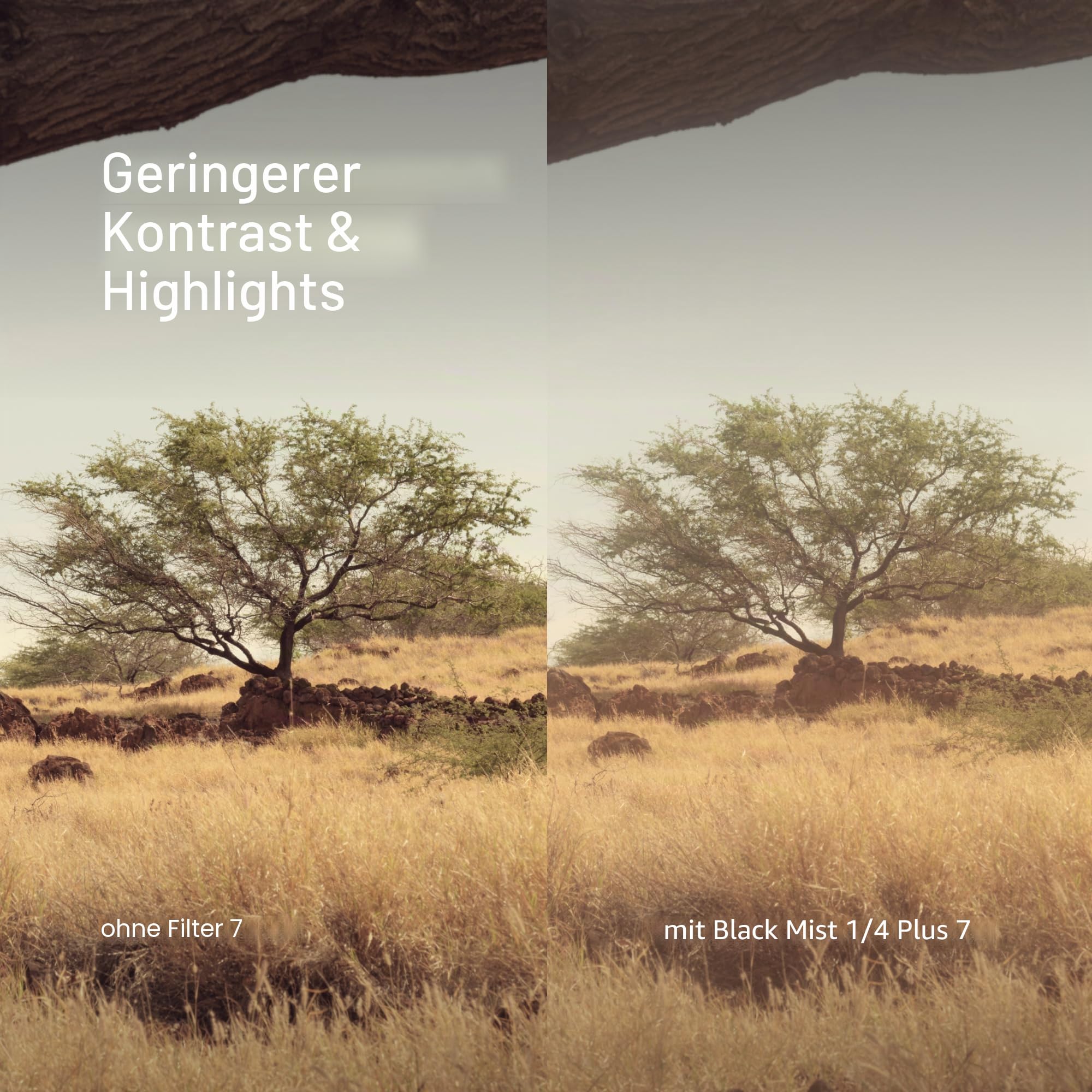 Urth 77 mm Magnetic Ethereal Black Mist ¼ Diffusionsfilter (Plus) — Kinematografischer Effekt mit 20-lagig nanobeschichteten Partikeln zur Lichtstreuung