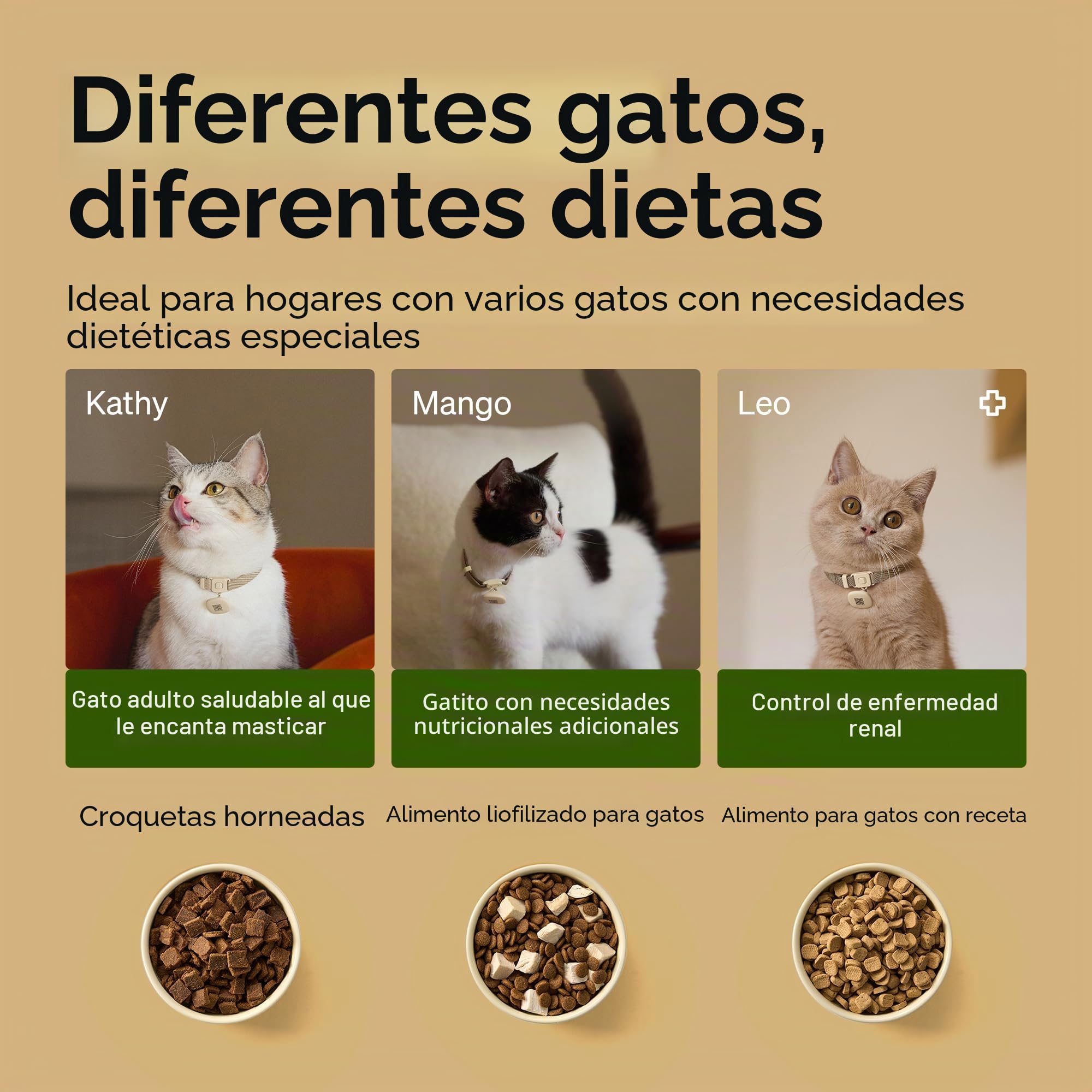 PETLIBRO Comederos automáticos para gatos para 2 gatos, etiqueta de collar RFID para comidas exclusivas, reconocimiento de gatos para detener el robo de alimentos, seguimiento de dieta para hogares de
