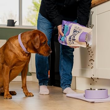 Pooch & Mutt - Health & Digestion Dry Dog Food, Salmon & Sweet Potato 2kg