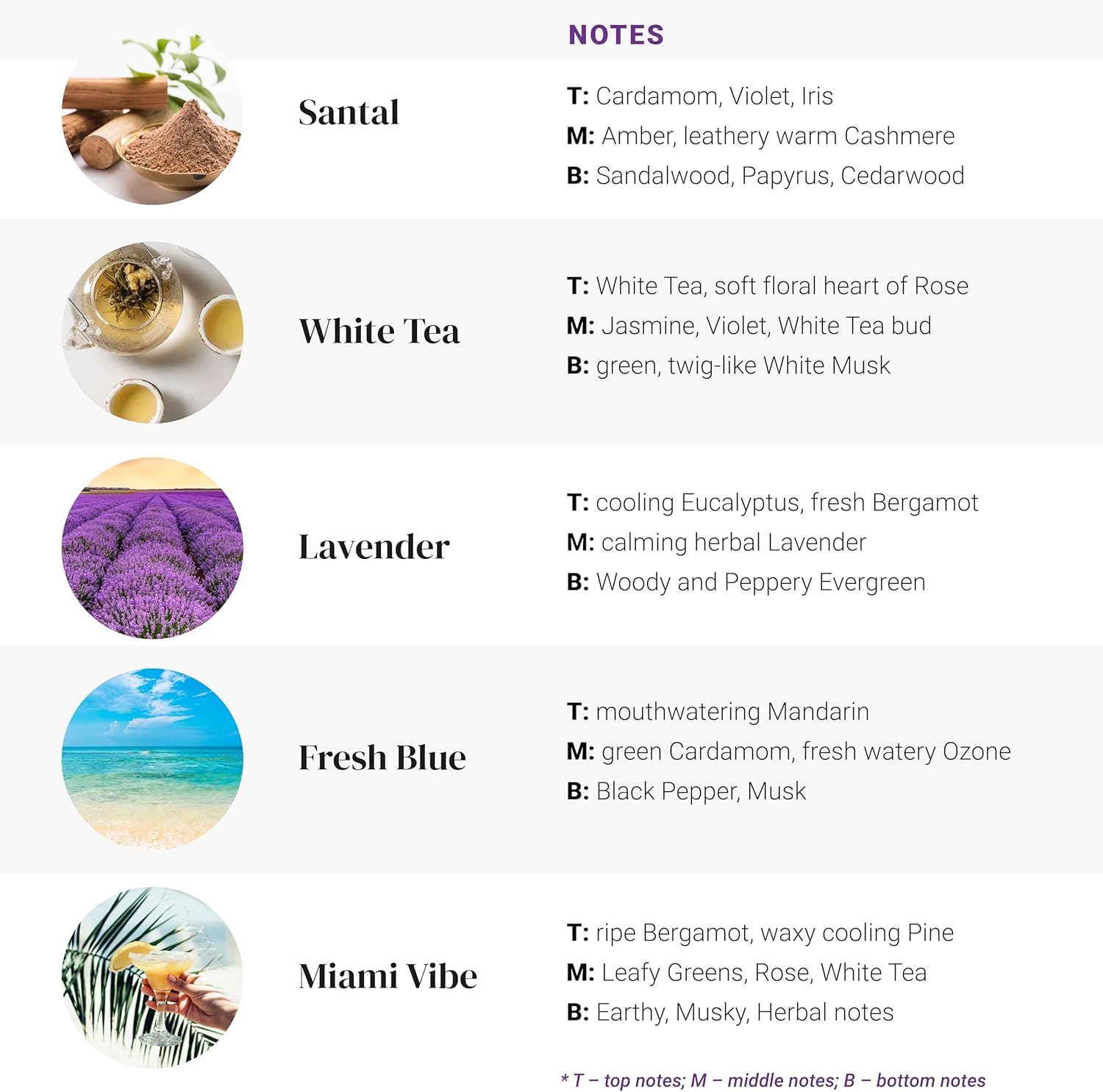 the Hotel Fragrance Oil Set, Fragrance Oils for Diffusers for Home, Hotel Collection Diffuser Oil Set with Santal, White Tea, Fresh Blue, Lavender, Miami Vibe, 5 x 0.33oz
