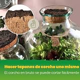 Ver la foto 4
