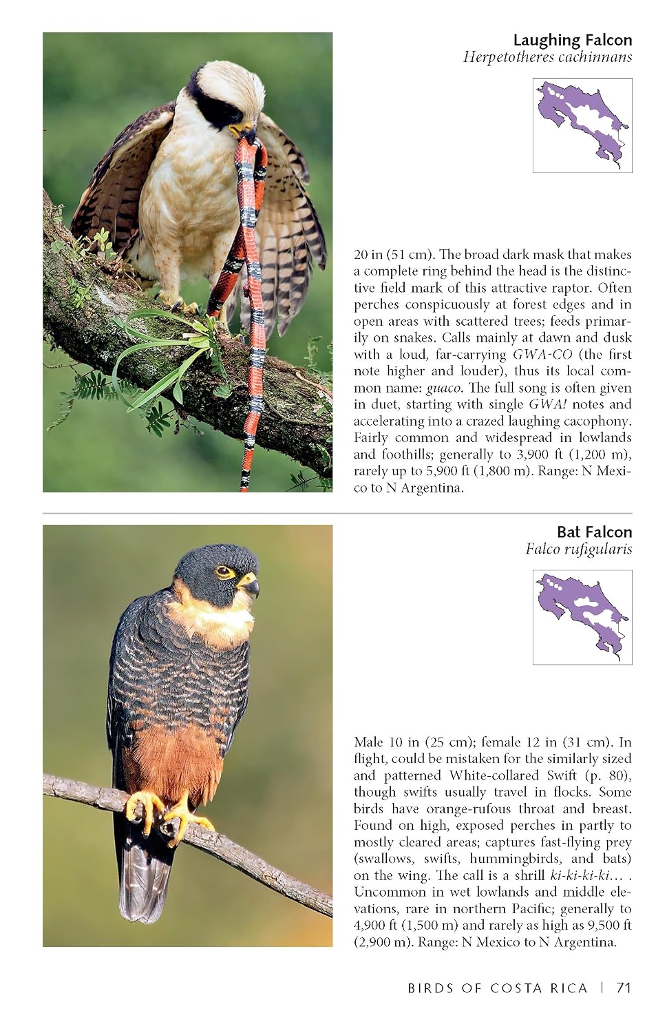 Photo Guide to Birds of Costa Rica (Zona Tropical Publications)